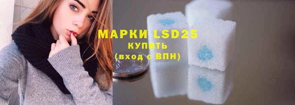 стафф Володарск