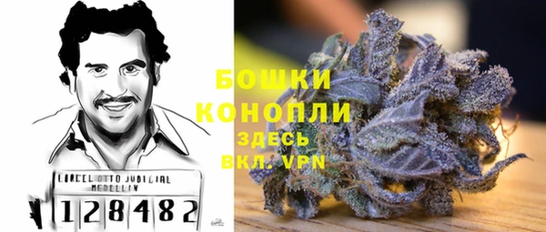 стафф Володарск