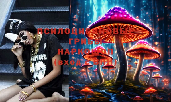 стафф Володарск